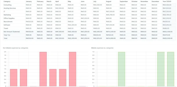 BIZCORE Expenses Report