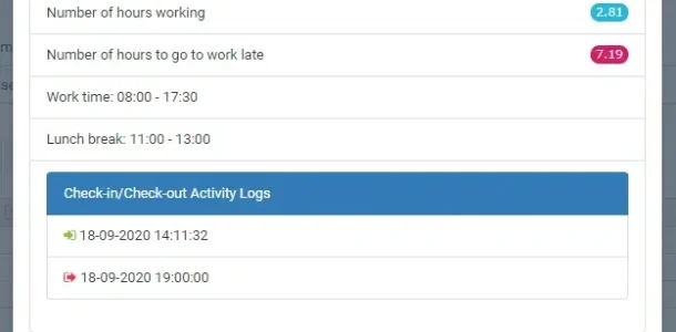 BIZCORE Working Hours Tracking